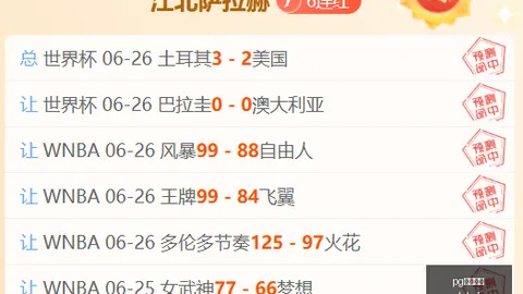 国际官网，PG电子娱乐平台， 065803 3